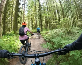 Grupo de amigos montando bicicletas en un bosque